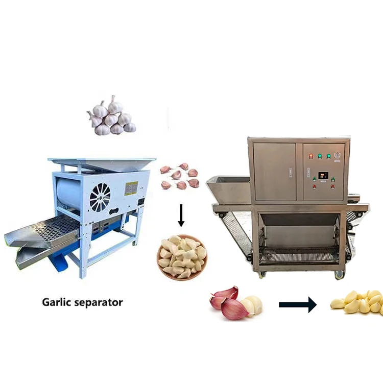 2026Cheap Good Quality Garlic Production Line Garlic Separator Garlic Peeler Machine