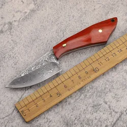 VG10 Damascus Steel Sandalwood Handle Camping Hunting Survival Pocket Kitchen Fruit Knife EDC Tool