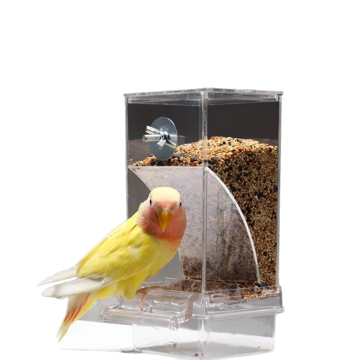 

Automatic Feeder Anti-Spill Anti-Splash Acrylic Seed Food Container Cage Accessories Suitable for Small and Medium-Sized Birds