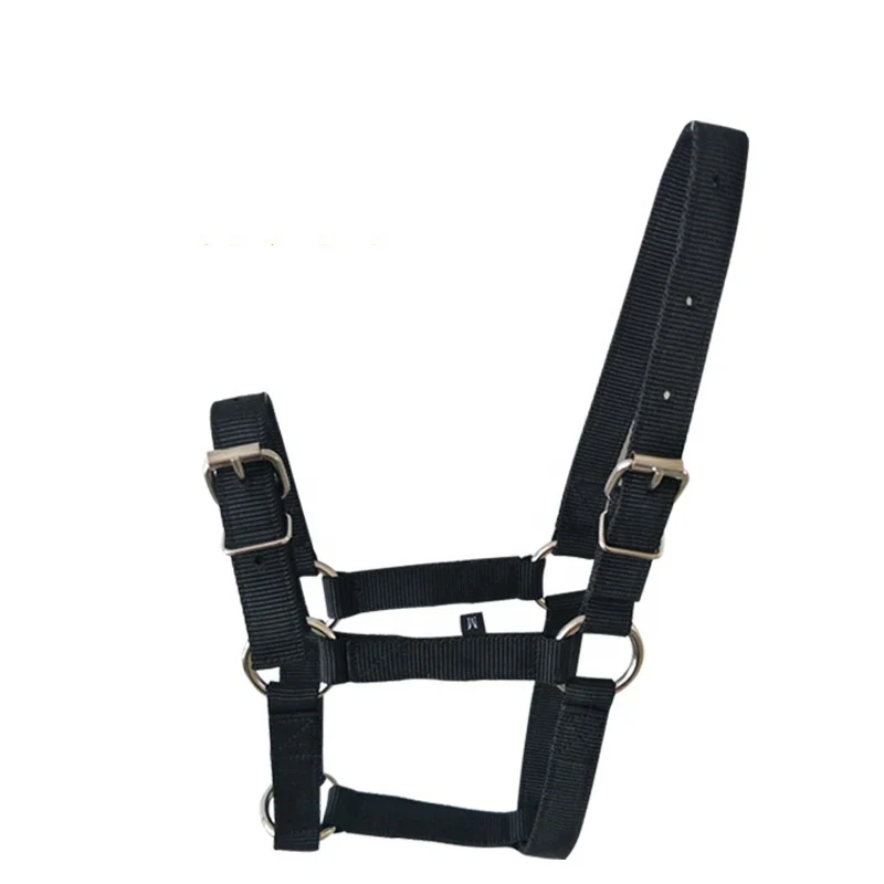 Horse Equestrian Adjustable Nylon Horse Bridle Halter Classic Colors Available Durable for Daily Riding and Training