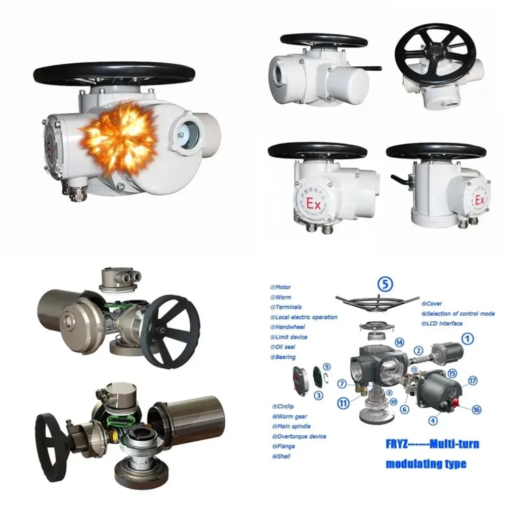 Manufacturer Explosion Proof ExdIIBT4 DZW Multi-Loop Electric Valve Actuator IP67 220VAC 380VAC 50Hz OEM
