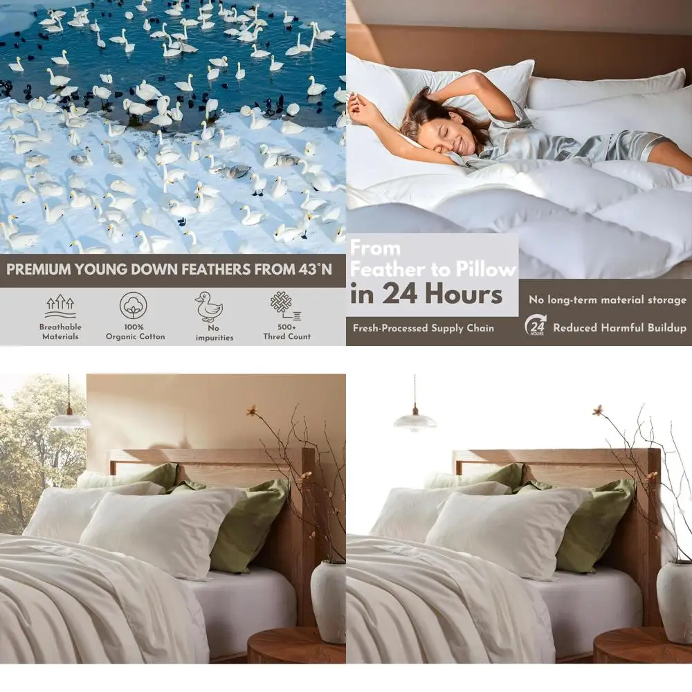 

Set of 2 Hotel-Quality Down Pillows - 20x26 Feather-Proof, Pure, Resilient for All Sleep Positions