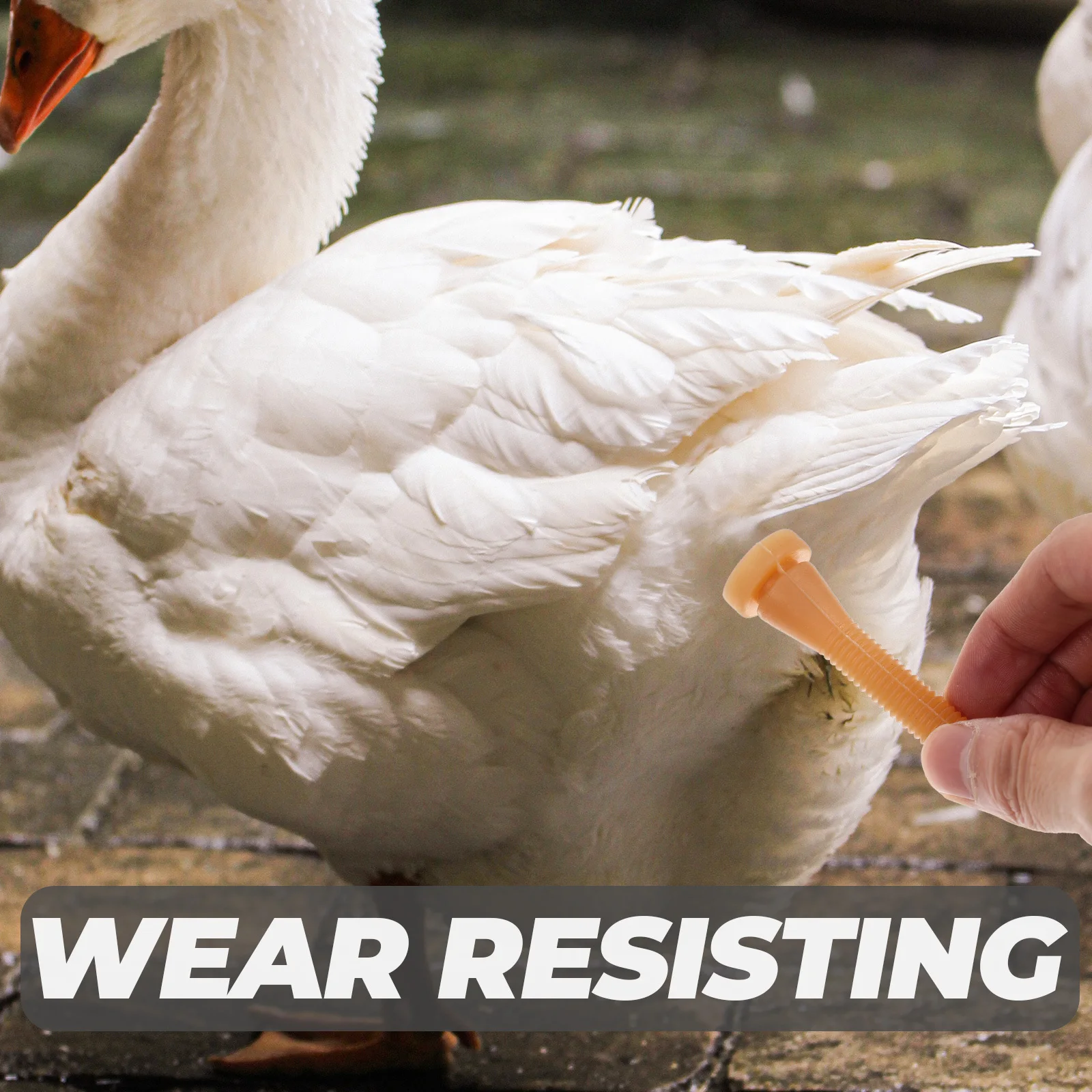 10 pçs depenador de frango dedos aves ferramenta de remoção de pêlos bordas redondas suaves haste de depenagem profissional para abate