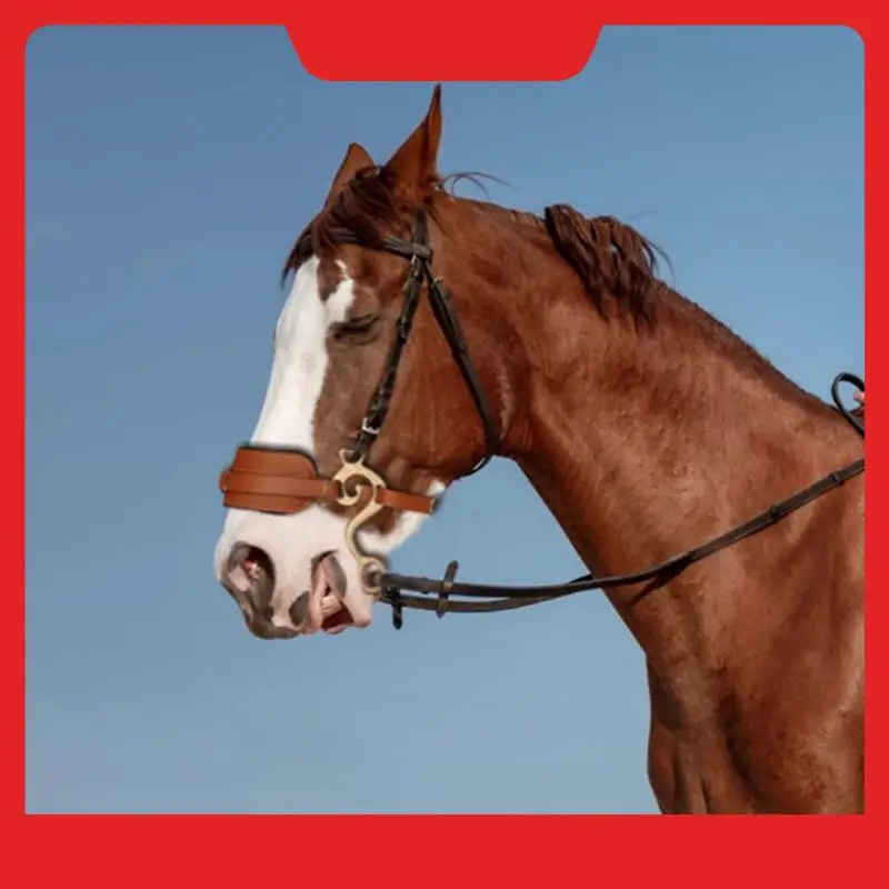 NEW-Horse Bit Brown Bridle Leather Padded English Western Adjustable Nose Curb Chain Horse Riding Equestrian Equipment
