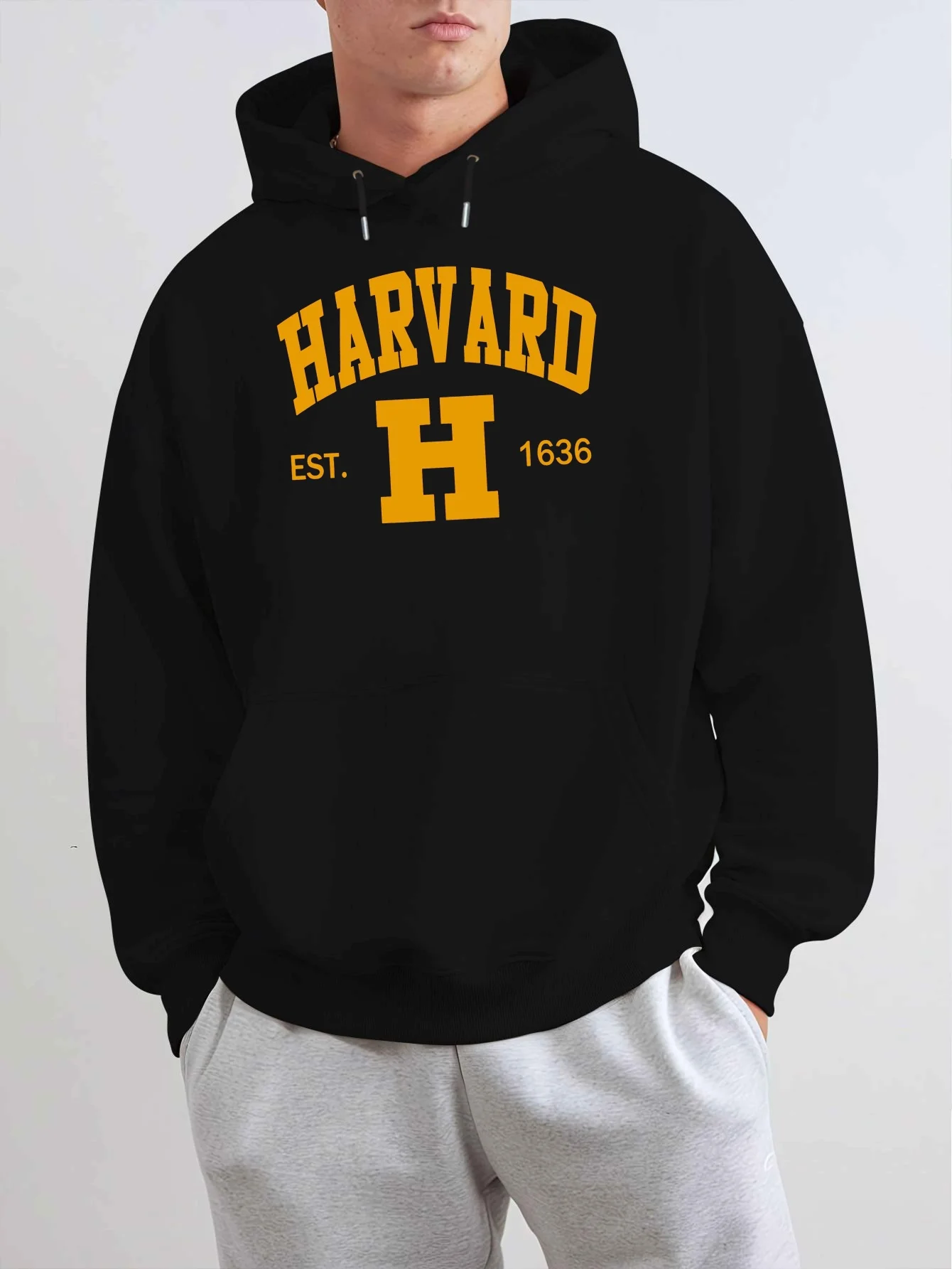

Мужская толстовка с капюшоном Harvard EST 1636 2024, полиэстер, слегка стрейч, флис весна-осень, большие размеры
