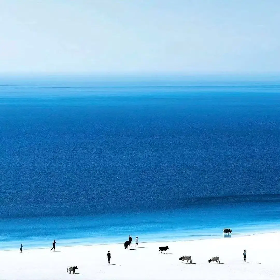 

DLS-Emsslim RF hi-emt машина для скульптуры мышц профессиональная машина Talxl Neo Ems электромагнитная стимуляция оборудование для похудения тела