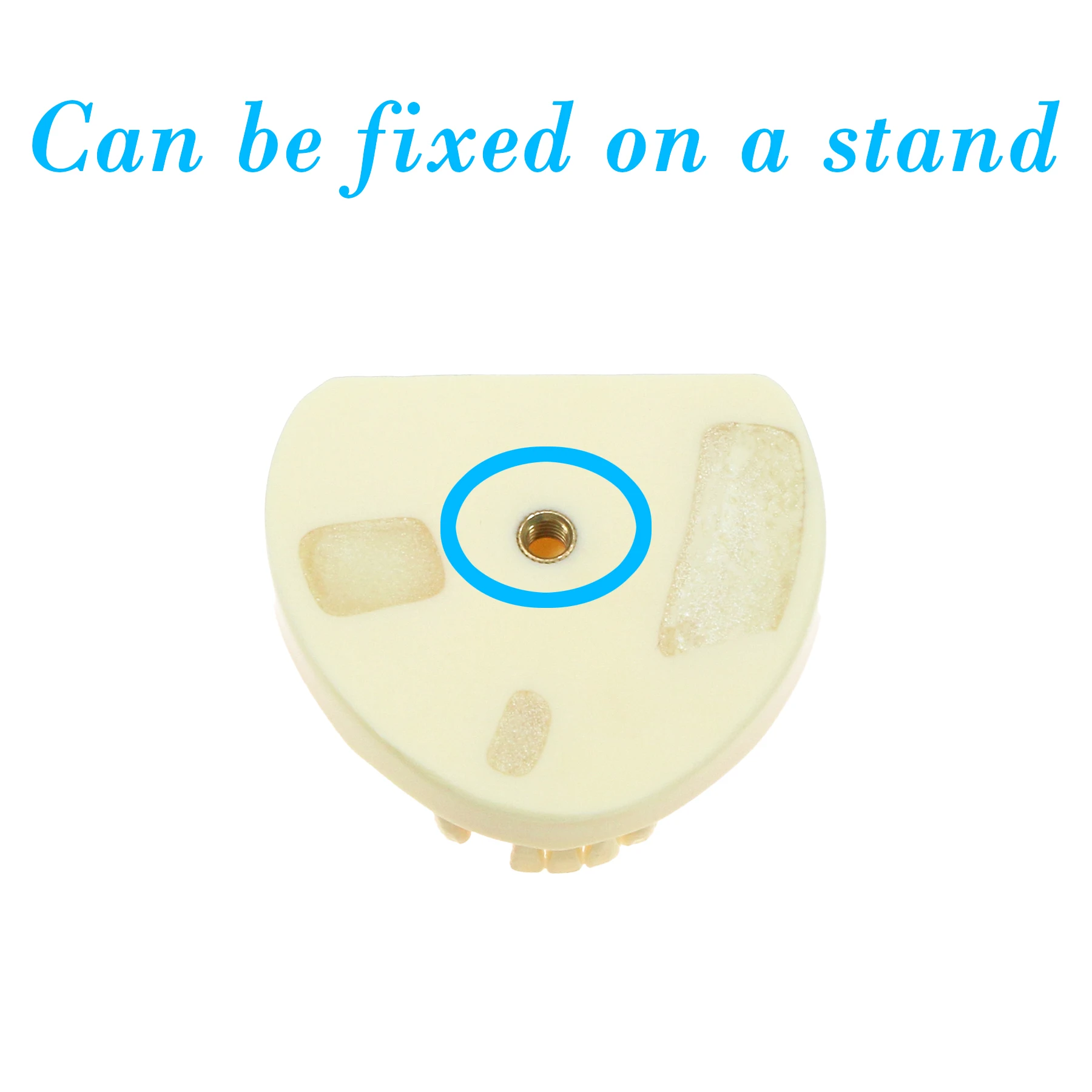 

Модель практики имплантации нижней части челюсти, обучающая модель для стоматолога, студенческая модель для практики зубов, стоматологические офисы для демонстраций пациентов