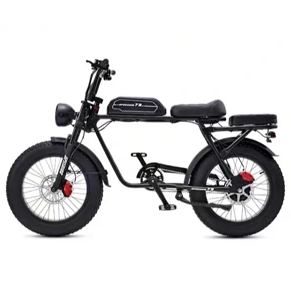 Super off road  electric fat e tire 73 bike fat bike 1000w 2000w 1500w 72v 48v duel battery ebike