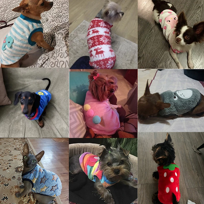 Chaleco de invierno para perros pequeños y gatos, suéter cálido para mascotas, chaqueta acolchada de franela suave para cachorros, accesorios para