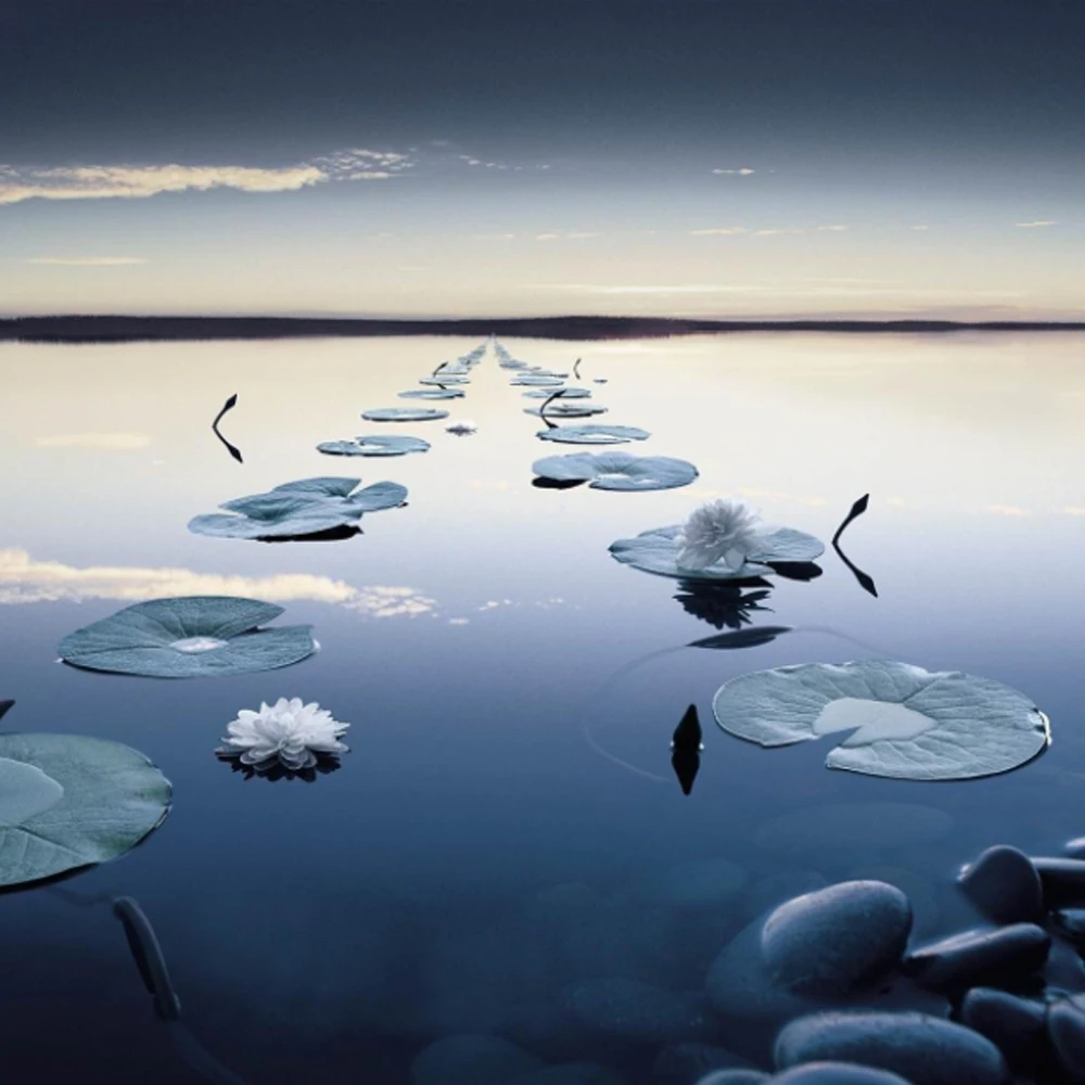 

Для HP 96U 962 963 964 965 картридж ARC чип для OfficeJet Pro 9010 9012 9013 9014 9015 9016 9018 9019 9020 9022 9023 9025