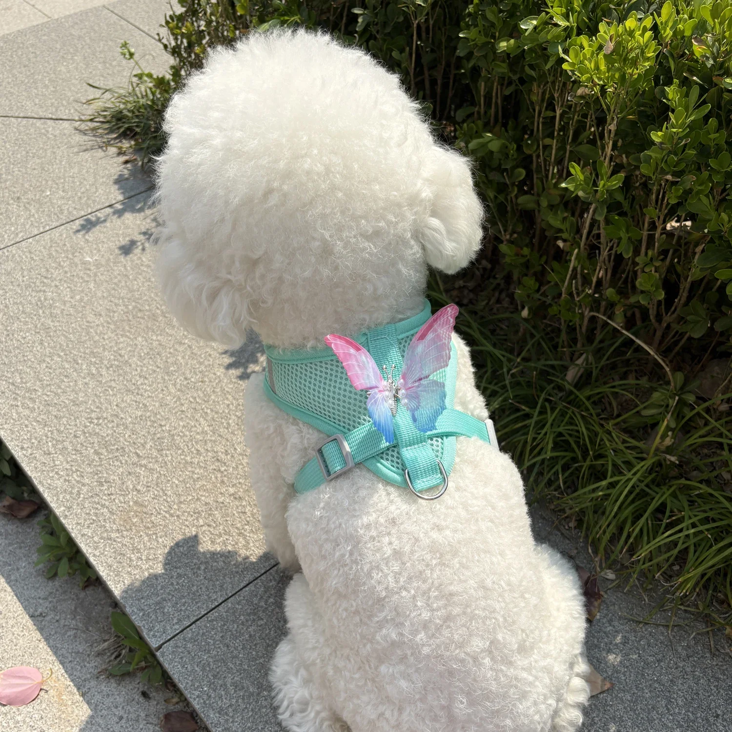 yZ[z킢ʋCn[lXZbg^LqxXg[VOEH[LOybgANZT[