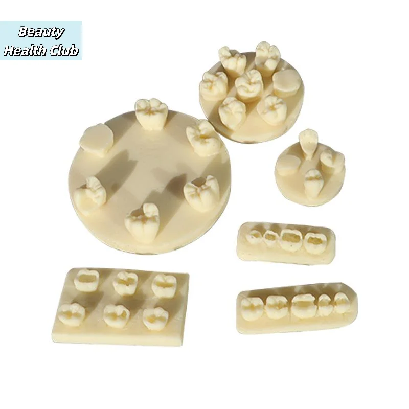 【1PC Tooth Morphology Practice Model Root Canal Filling Inlay Resin Module For Dental Teaching Training Resin Model Tool】