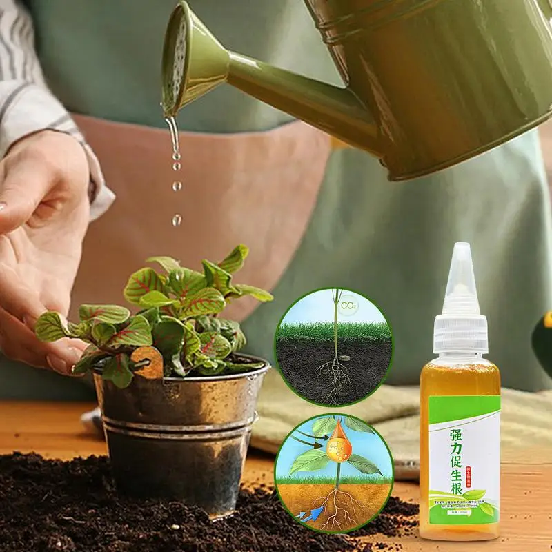 สารกระตุ้นรากขนาด 50 มล. สำหรับพืชสารเร่งการงอกของรากเร็วปุ๋ยออร์แกนิกฮอร์โมนการเจริญเติบโตของรากประสิทธิภาพสูง