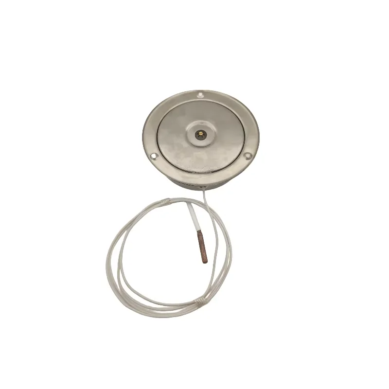 Termometro capillare in acciaio inossidabile per strumenti Refrigerazione da 40 gradi Conservazione del freddo Prodotti originali popolari