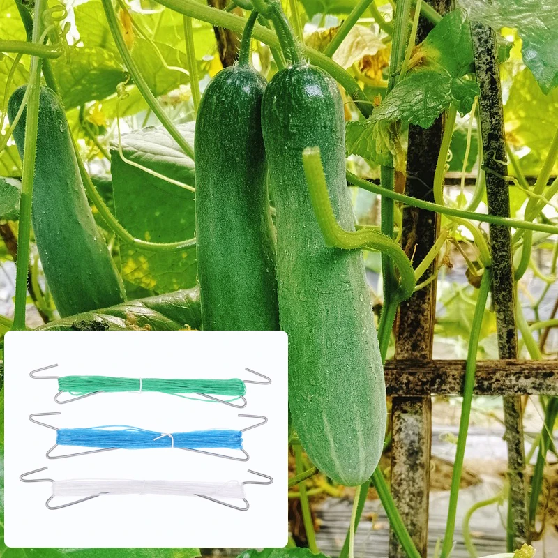 10Pcs Plants Hooks Clips With 10M Rope + 20 Clips J Hooks Clips Set Tomatoes Growing Hooks Clips For Tomato Grape Pepper