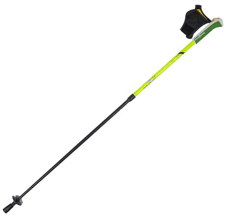 ski ski poles trekking poles