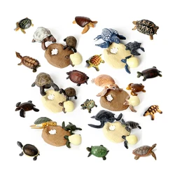 Turtle Tortoise Model Toy Animals Figures Sea Marine Animal Figurines Life Cycle Playset Action Figure Children Toys kids Gifts