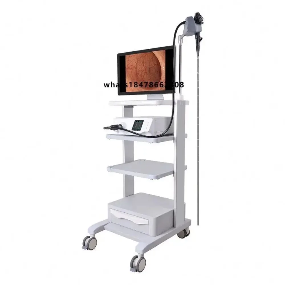 HD Veterinary Gastroscope System Endoscope Veterinary Equipment Sale Price