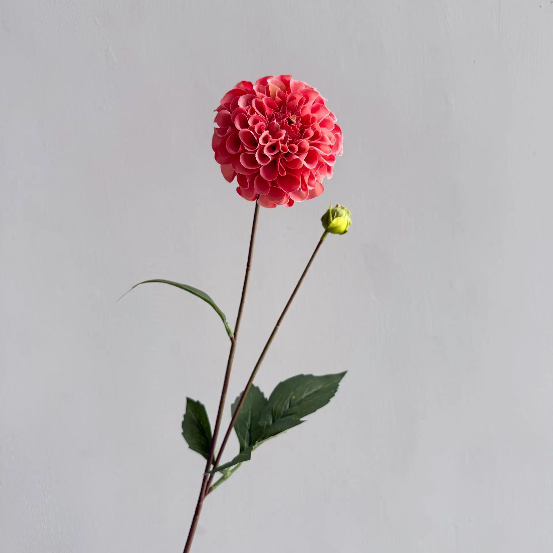 5 Stück Künstliche Feuchtigkeitsspendende Dahlien mit Echtem Touch, Künstliche Blumen für Brautsträuße, Hochzeitsdekoration, Party, Blumendekoration für Zuhause und Zimmer – Detail 15