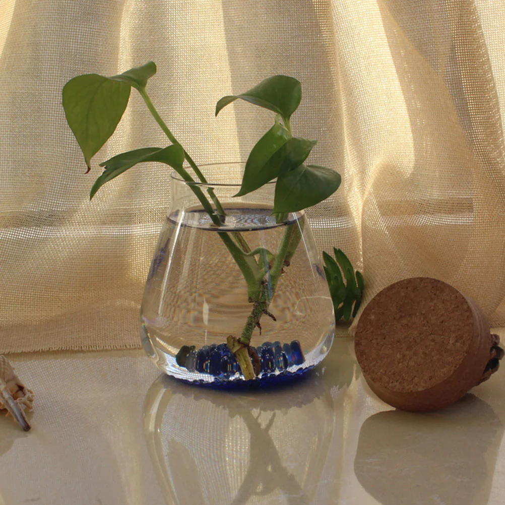 Vase with Cork Wide Top Glass Bottle Micro Landscape Jar Decorative Empty Self Sustaining Terrarium Flower Pots