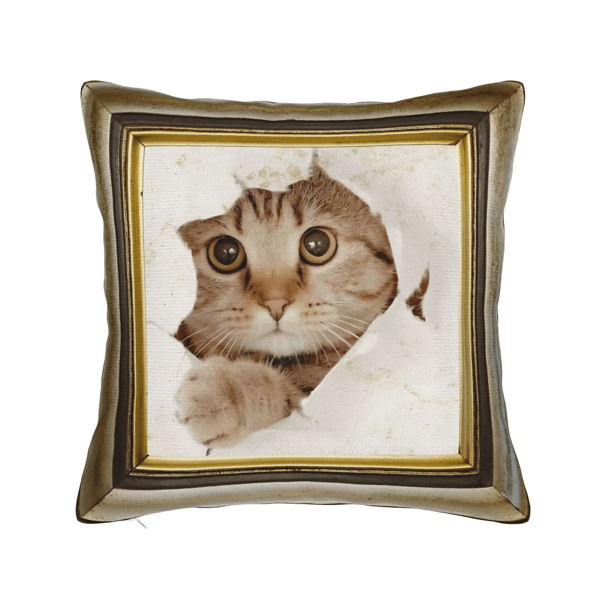 Cute Caroon Cat Portrait Photo Frame Art Pillowcases  Kawaii Pillow Case For Sofa Bedroom Home Decor Comfy Pillow Cover