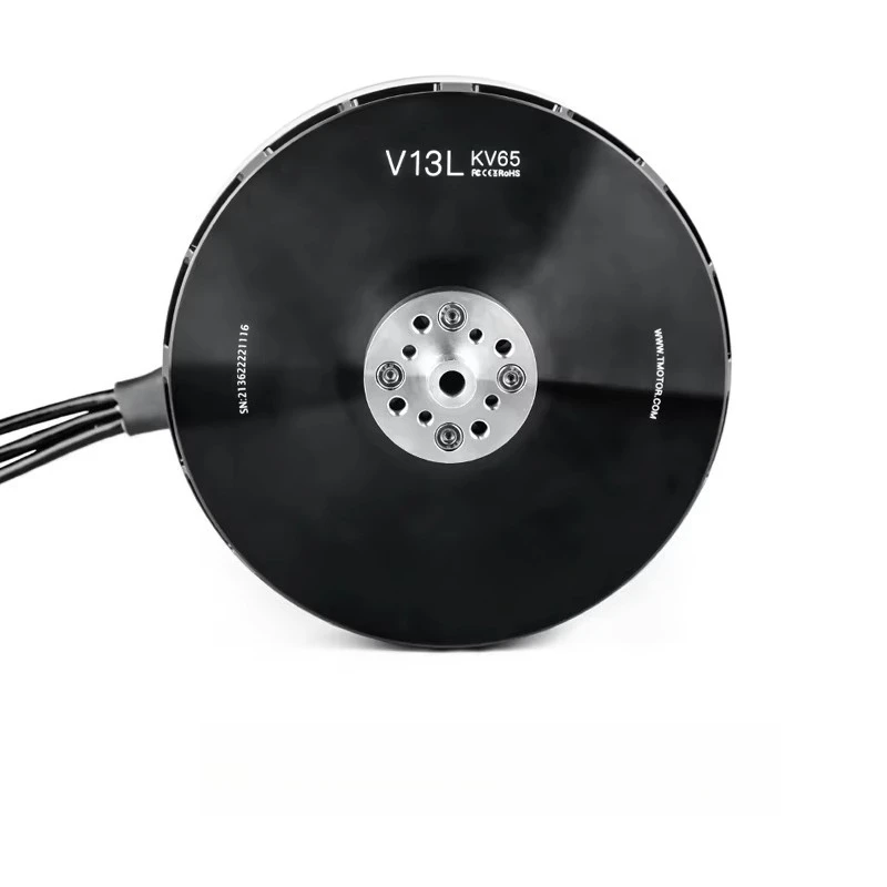 6 kW waterproof brushless DC motor 24 strings 50 kg 100 kg 200 kg capacity