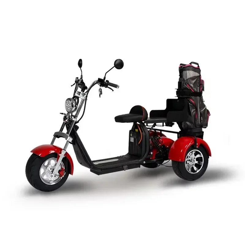 Stable Australia Market Hot Sale Factory Direct Di Sleek And Sturdy 2 Seater Kart Motor Carts Sc Seniors