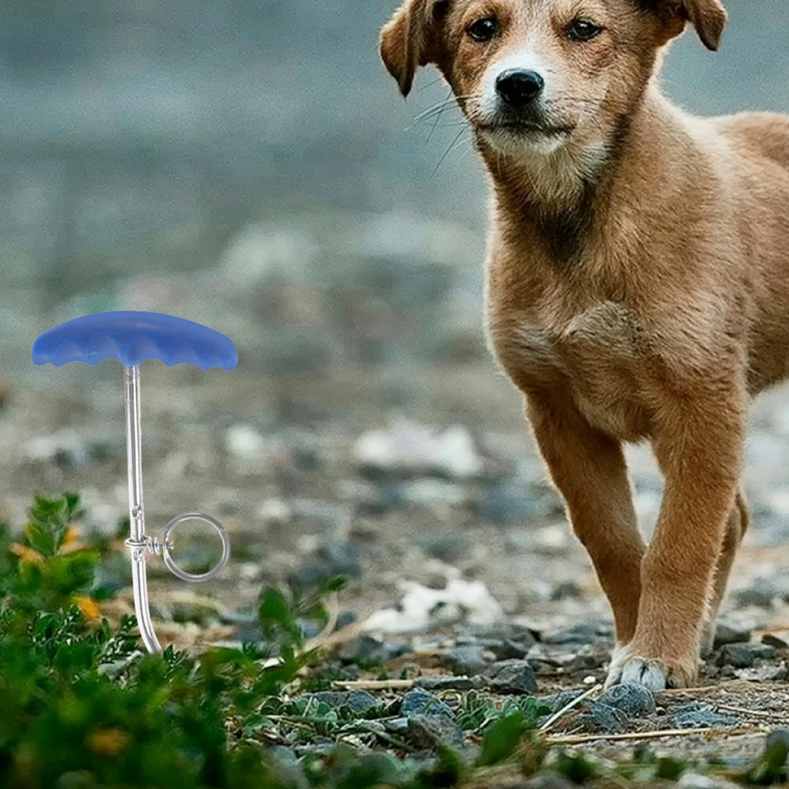 

Dog Tie-Out Stake leash anchor stake Pet Leash Stake Puppy Tie-Out Stake leash stake for dogs