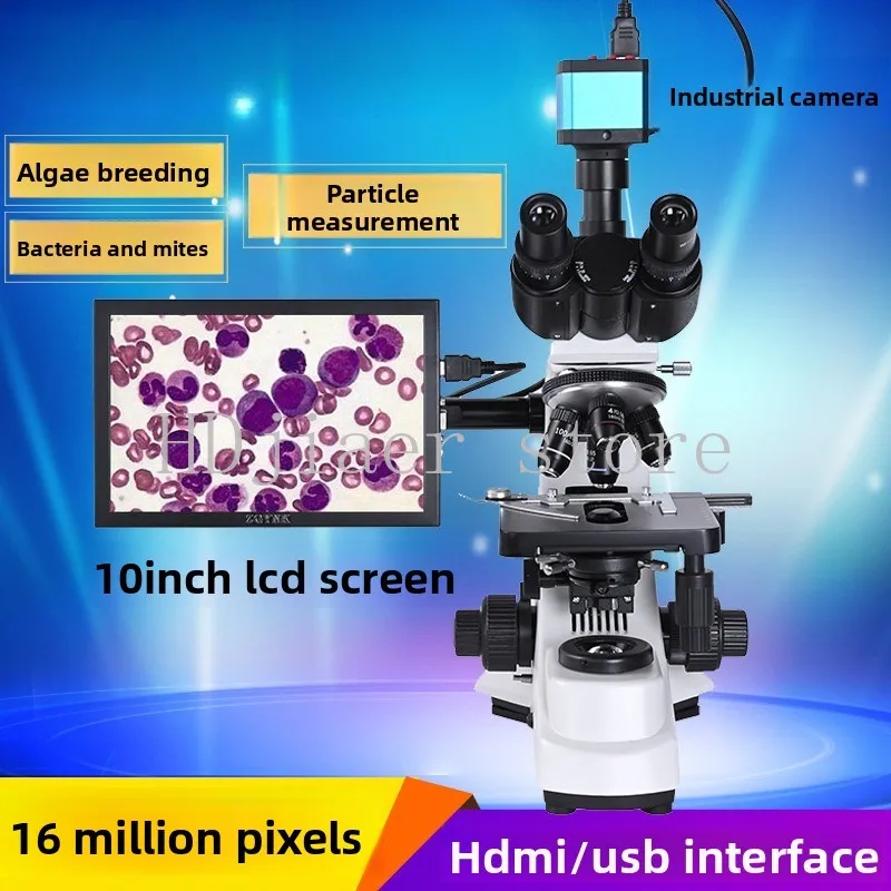Binocular microscope BM-500T high magnification scientific research display screen high-definition biological powder particles