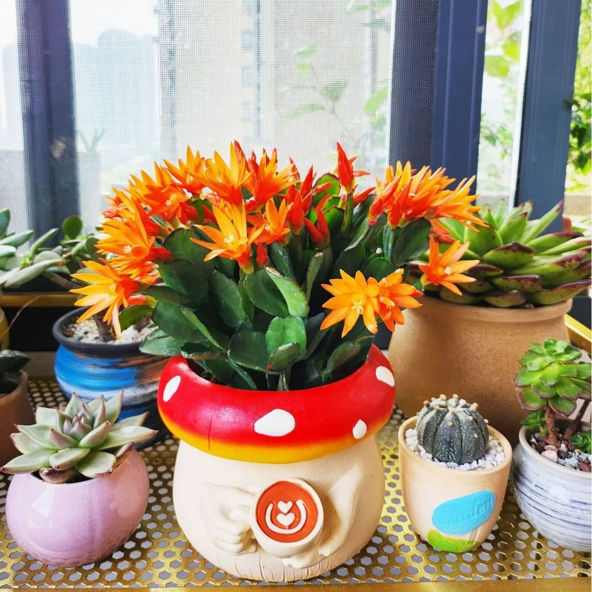 Nordic Style Colorful Resin Planter Set - Cute Mushroom & Coffee Cup Design for Home Office