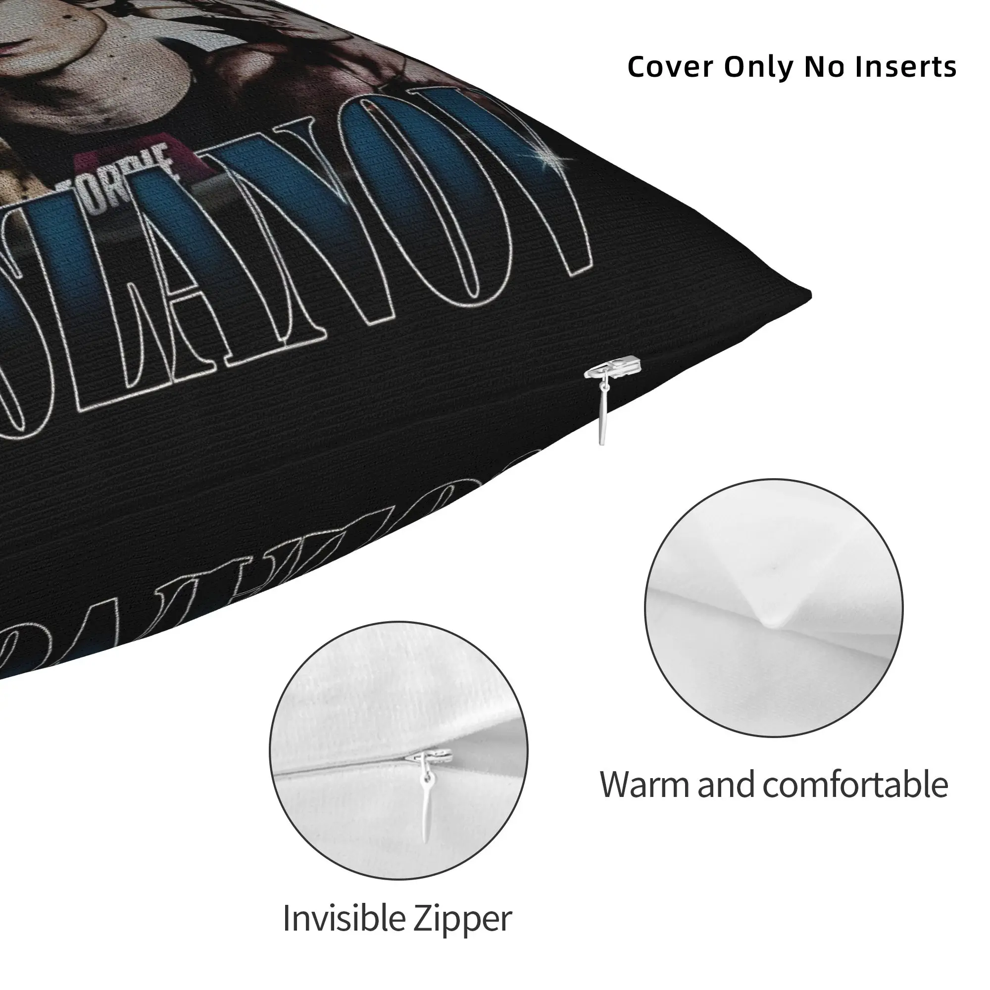 Connor Storrie Rozanov Heated Rivalry Square Pillow Cases  Cushion Cover Zippered Decorative Throw Pillow Case Cover for Car