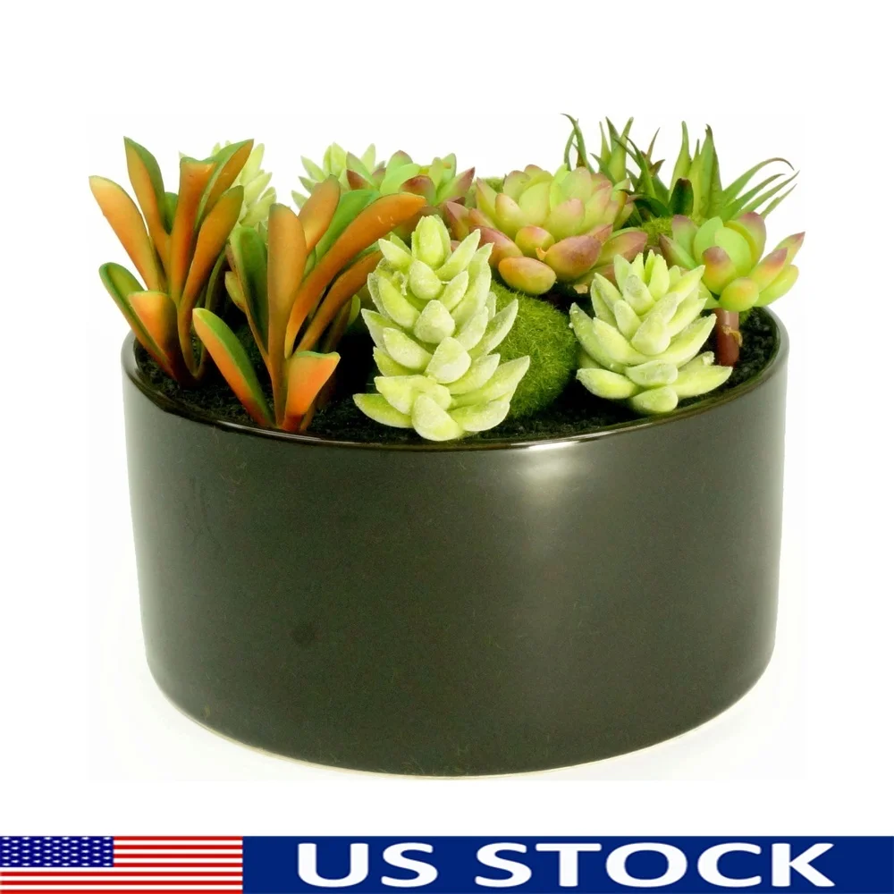 

Large Round Ceramic Faux Succulent Planter Easy Care No Maintenance Durable Design Office Home Decor Centerpiece
