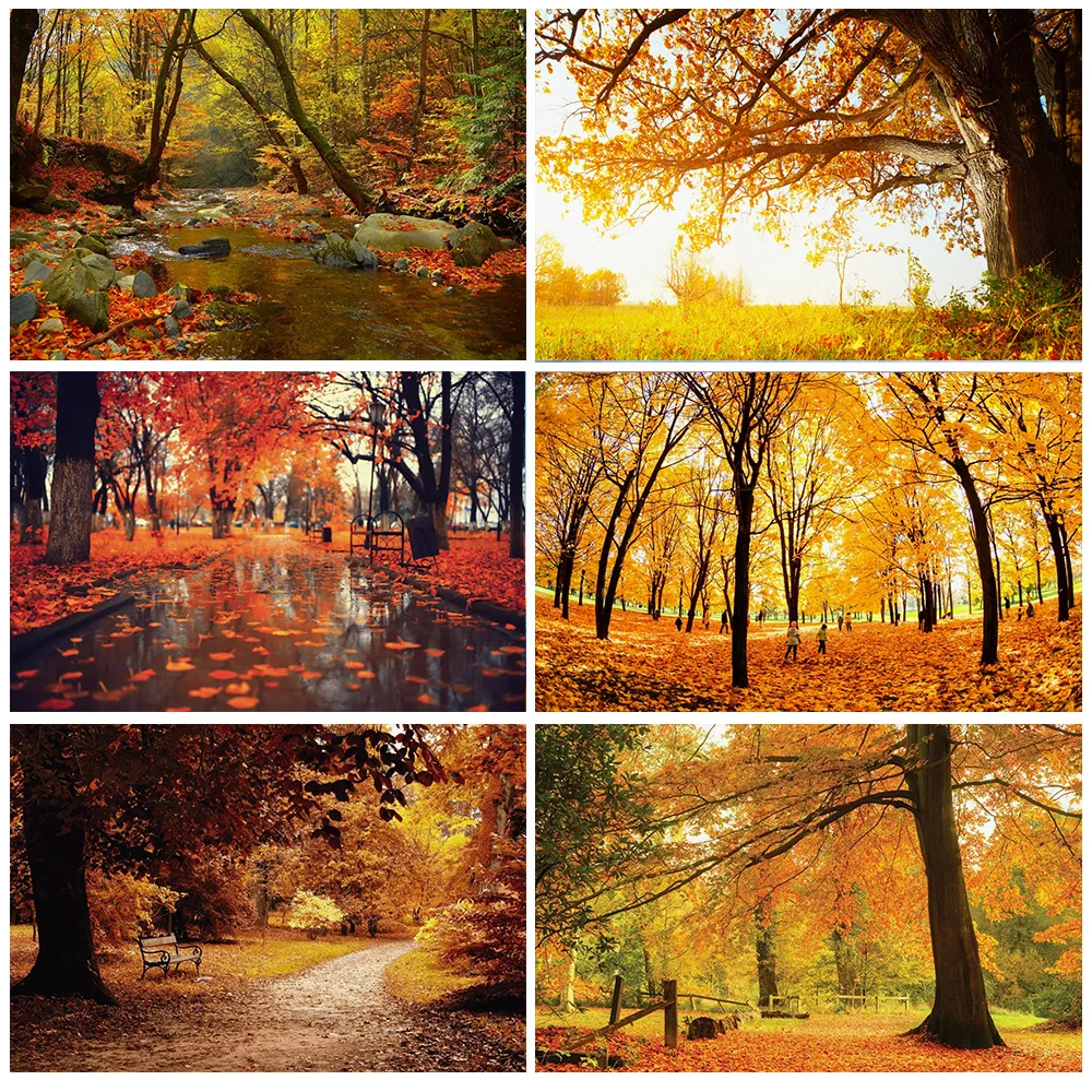 

Autumn Forest Fallen Leaves Nature Scenery Red Tree Mountain Photography Backdrop Photo Studio Background Supplies Shoot Props