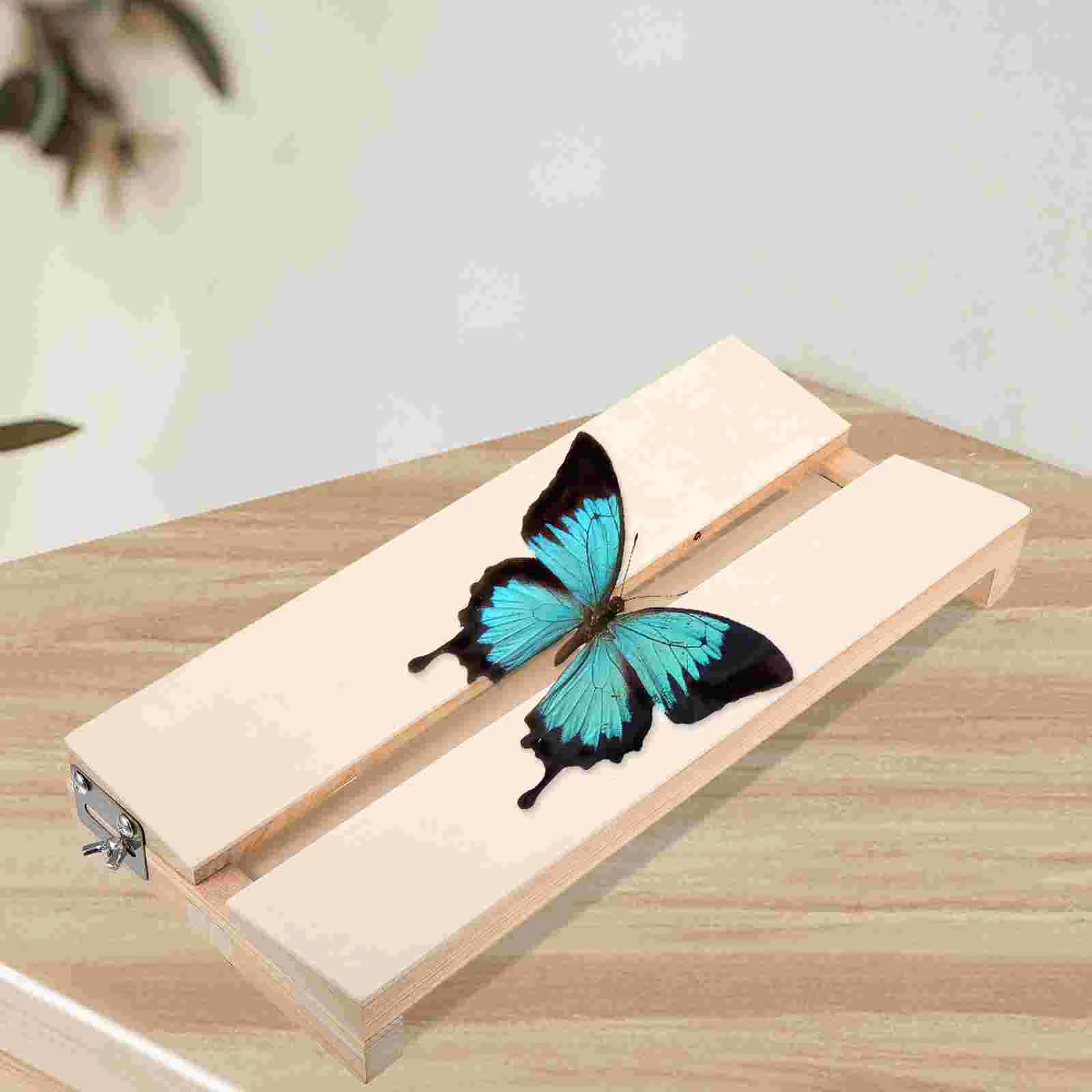 Butterfly Wings Display Board Insects Specimen Foam Butterflies Baby Experiment Teaching Tool Spreading