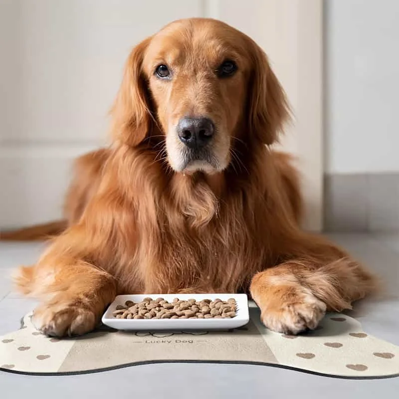 1pc Spill-Proof Bone-Shaped Pet Feeding Mat Suitable for Dogs Cats, Irregular Bone Heart Washable Non-Slip, Easy Clean