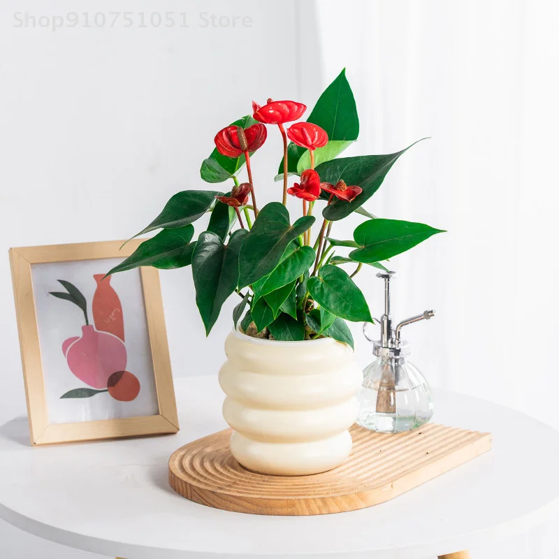 Plastic Flower Pot Thickened Resin Round Three-dimensional Tabletop Flower Pot For Home Decoration