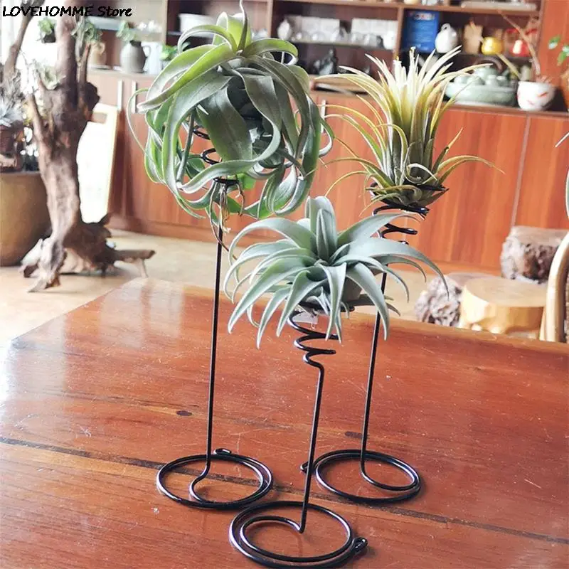 Air Plant Holder 3 Sizes Air Plants Container Iron Flower Stand Tillandsia Holder for Displaying Home Office Desktop Decoration