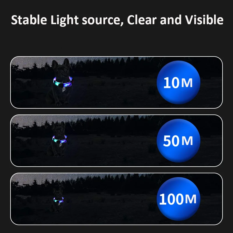 Thumbnail 4 - #38 Best LED Puppy Collars to Buy In 2026