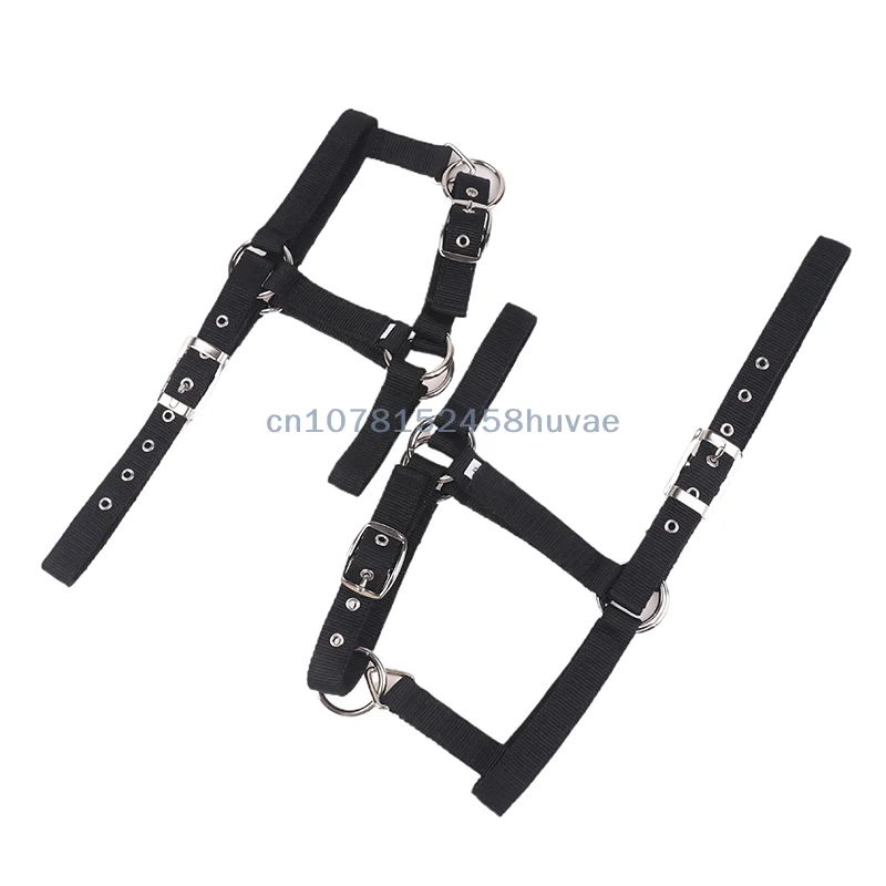 1 قطعة حزام النايلون قابل للتعديل الفروسية الغربية الحصان الرسن ركوب الخيل ارتداء الأسود XS S M L XL مريح الرسن