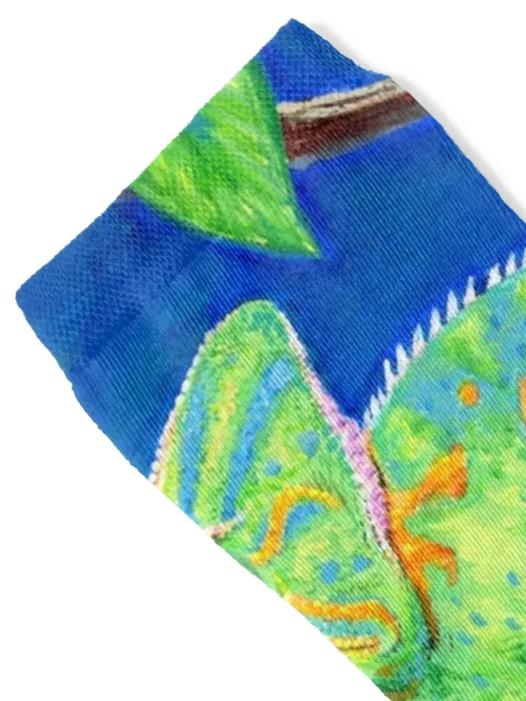 Veiled Chameleon Socks