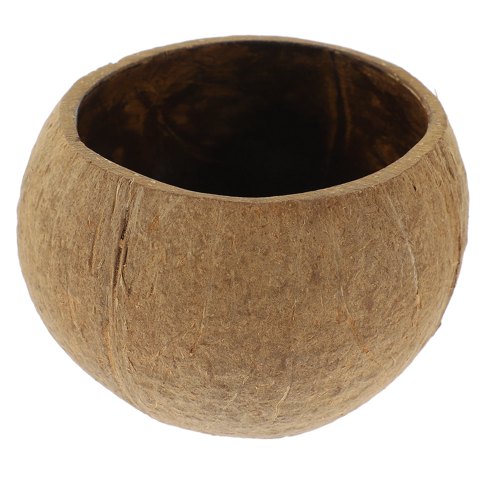 

Shell Holder Natural Diy Scented Container For Wax Soy Jar Craft Scented Wax Holder Making Decor