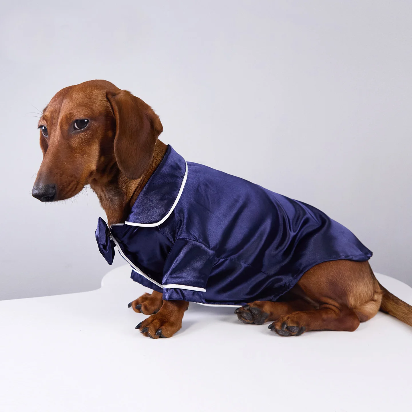 Monos de seda para perros pequeños y medianos Badger, Dachshund - imagen 4