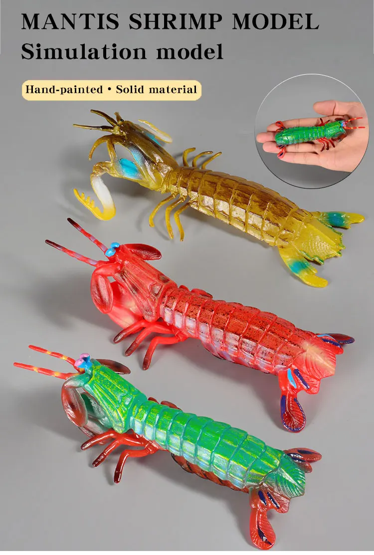 Ozean Tiere Mantis Garnelen Meer Leben Modell Action-figuren Simulation Sammlung Spielzeug für Kinder Geschenk – Detail 1