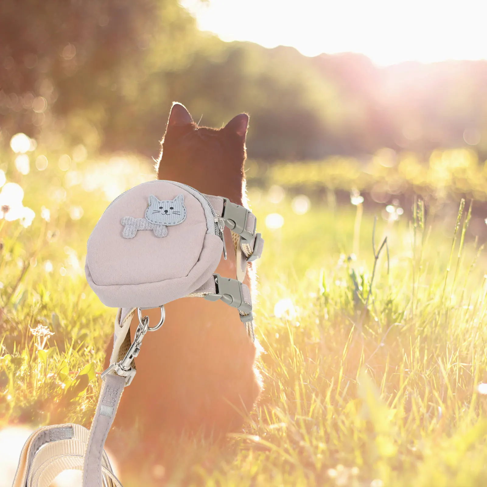 

Pet Leash Adjustable Cat Harness Breathable Rope Grey Walking Outdoor Kitten Dog Backpack Long Enough Freedom Well Control