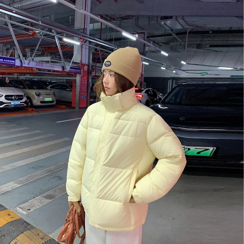 Quilted Puffer Jacket Detachable Hood Women Parkas Stand Collar zipper Closure Side Pockets Elastic Cuffs Loose Fit Warm Winter