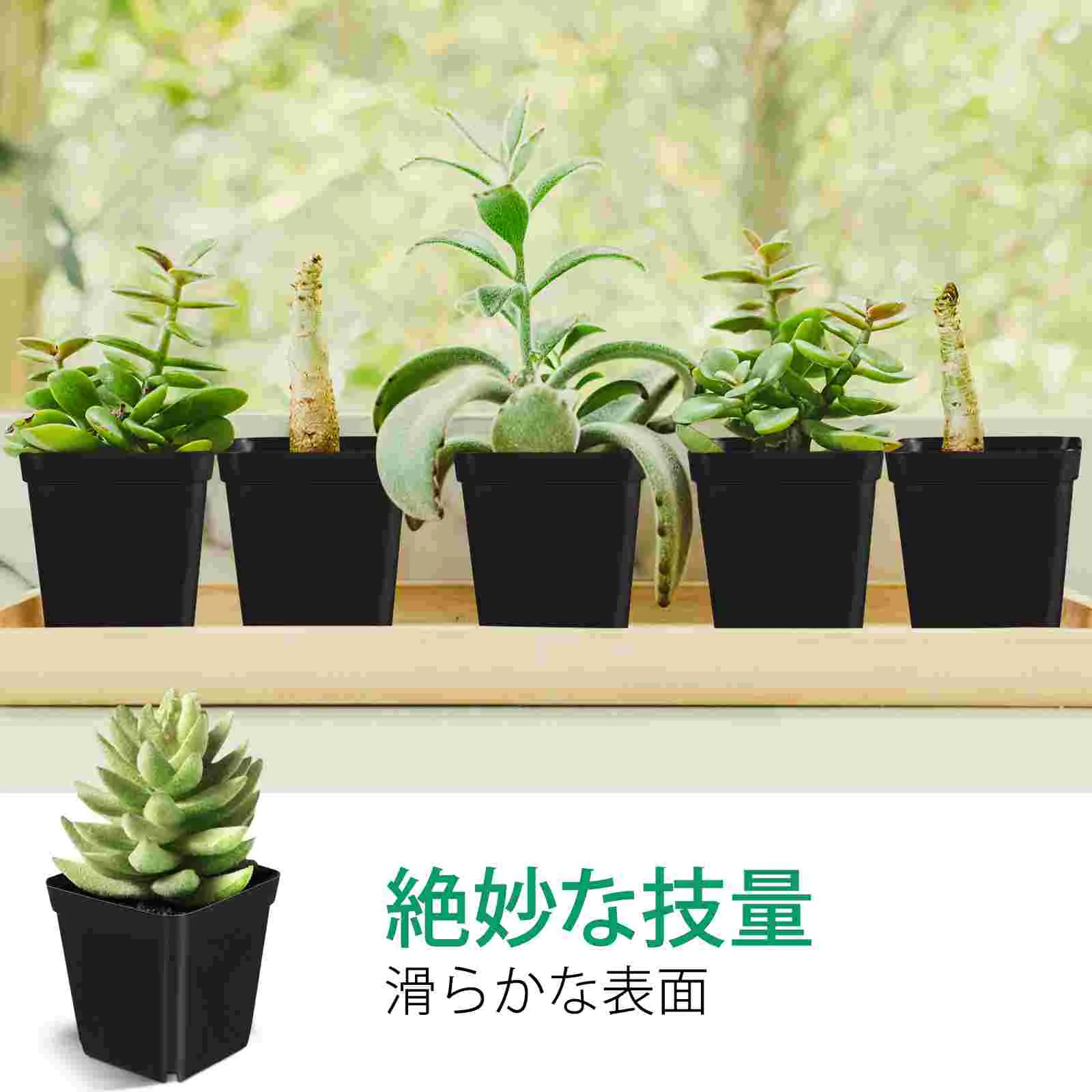 50 Pcs Patio Planters Small Nursery Pots Entry-level Flower Outdoor Indoor Square