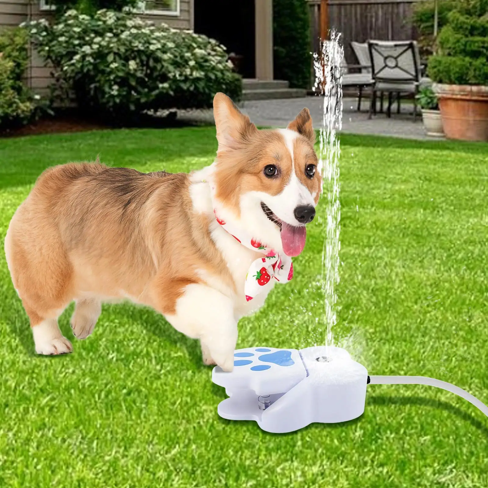 Pet Outdoor Water Feeder Water Fountain Cat Self-service Step-On Foot Pedal Automatic Drinking Dispenser Dog Training Toy