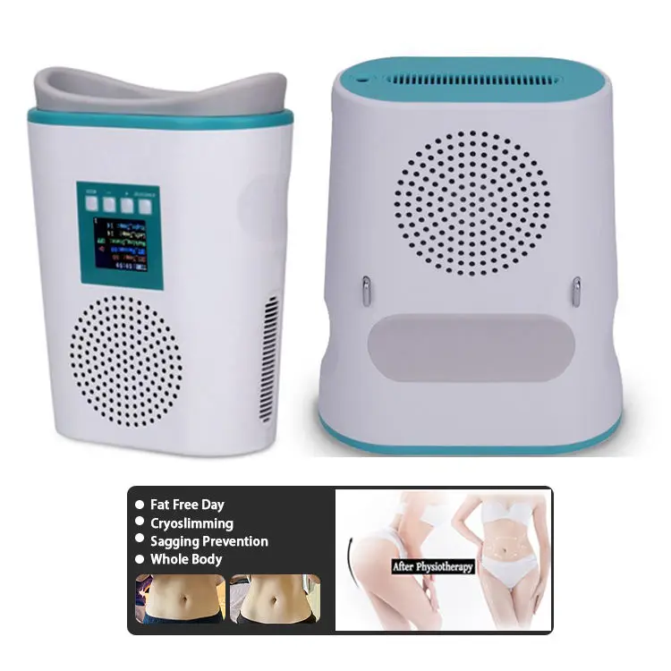 Best Selling Portable Home Use Fat Freezing fat freezing Device Mini Cool Sculpting Cryolipolysis Slimming Machine-9Q