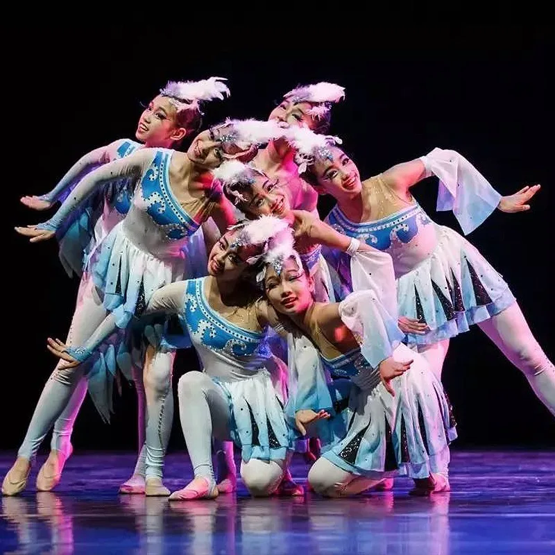 

Children's Bird Suit Tight One-Piece Dance Performance Costume Sea Swallow Sea Gull Sea Bird Animal Wings Call Outfit