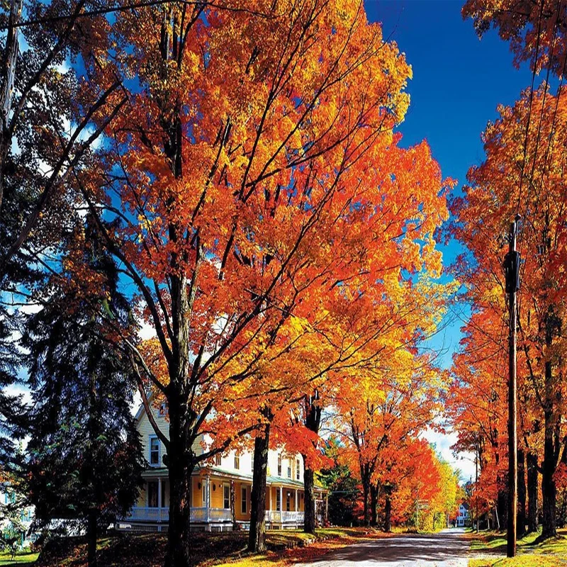 

For Porsche Panamera 971 2017-2022 Window B C Pillar Post Cover Trim Stickers Door Column Decorative Exterior Accessories